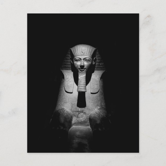 Black and white pharaoh king (Front)