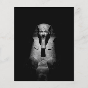 Black and white pharaoh king