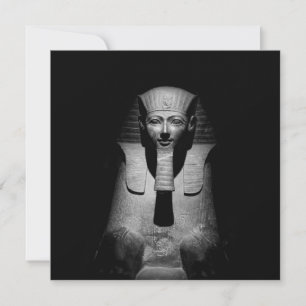 Black and white pharaoh king