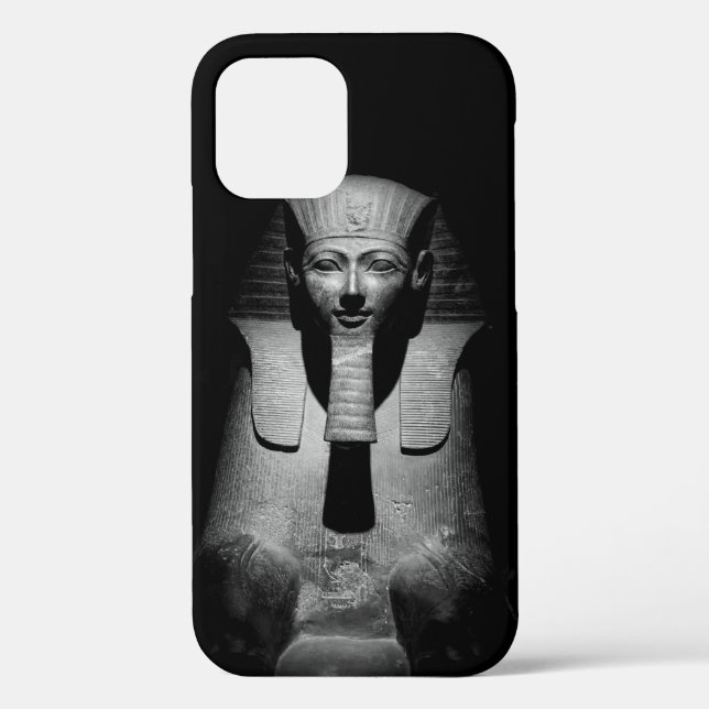 Black and white pharaoh king Case-Mate iPhone case (Back)