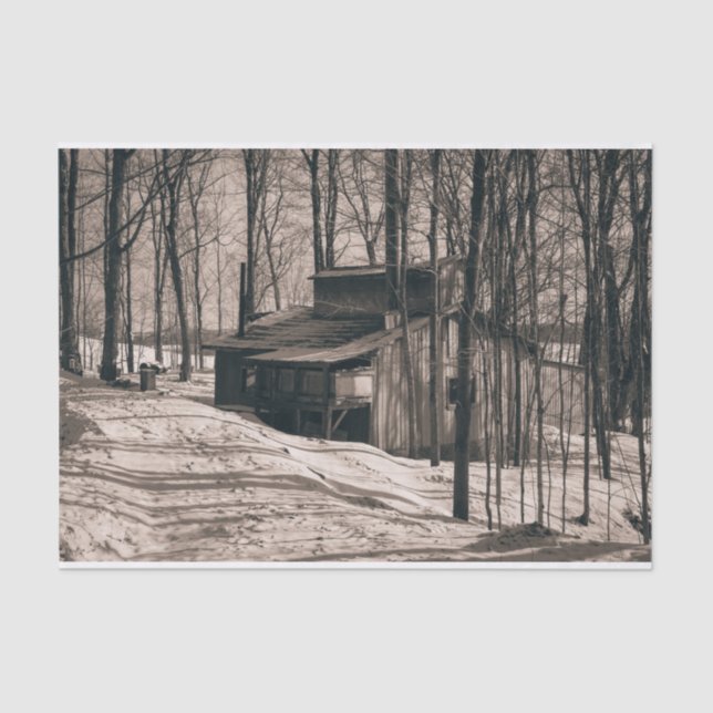 Black and White Photo Maple Cabin Tissue Paper (Front)