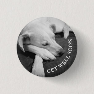 Black and White Photo of a Beautiful Dog Sleeping 3 Cm Round Badge