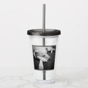 Black and White Photo of a Beautiful Dog Sleeping Acrylic Tumbler
