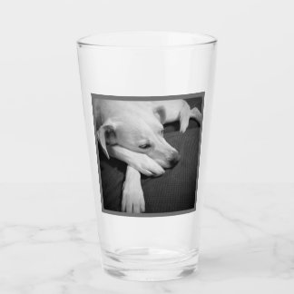 Black and White Photo of a Beautiful Dog Sleeping Glass