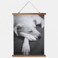 Black and White Photo of a Beautiful Dog Sleeping