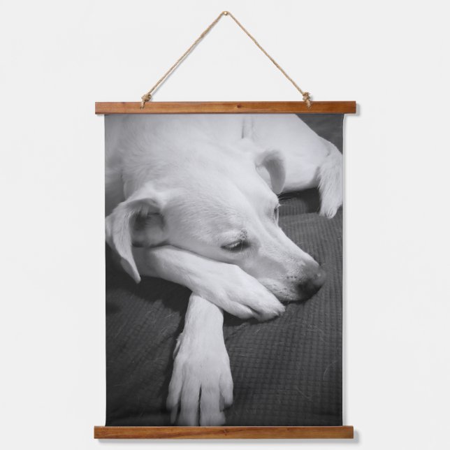 Black and White Photo of a Beautiful Dog Sleeping Hanging Tapestry (Front)