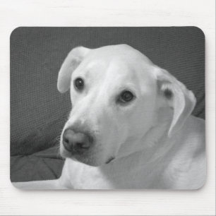 Black and White Photo of a Beautiful Soulful Dog Mouse Pad