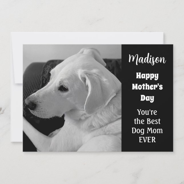 Black and White Photo of Cute Dog Mother's Day Holiday Card (Front)