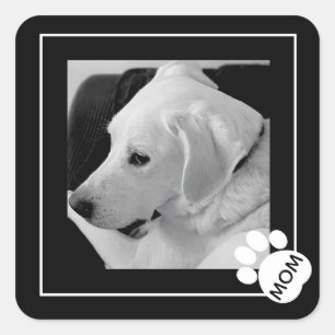 Black and White Photo of Cute Dog Mum Paw Square Sticker