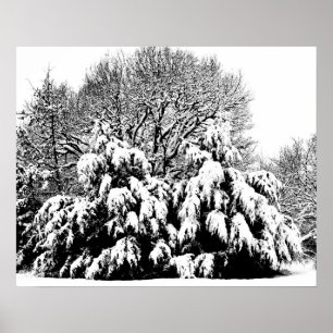 Black and White Photographic Art Snow Trees Poster