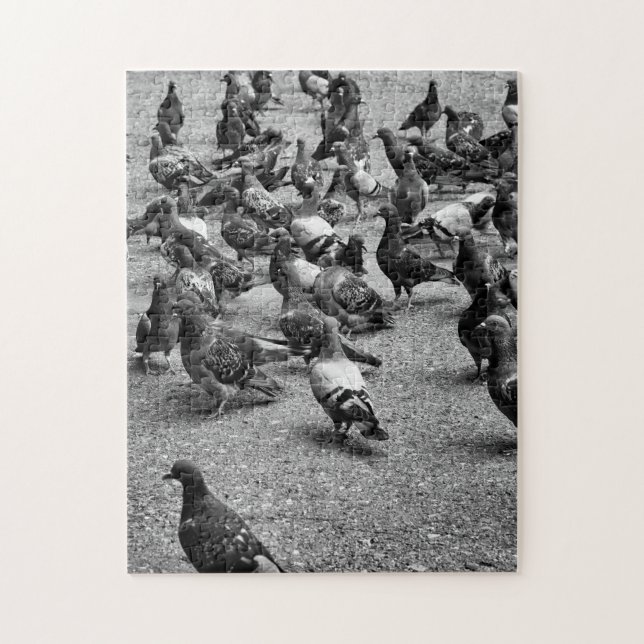 Black and white photography of many pigeons jigsaw puzzle (Vertical)