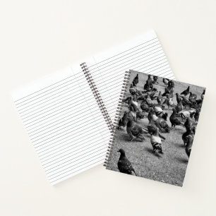 Black and white photography of many pigeons notebook
