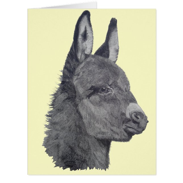 black and white picture of cute donkey (Front)