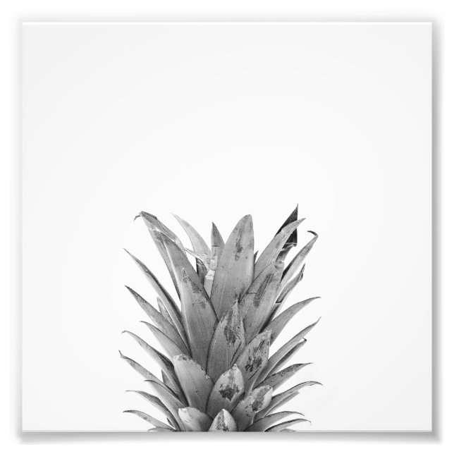 Black and White Pineapple Photo Print (Front)