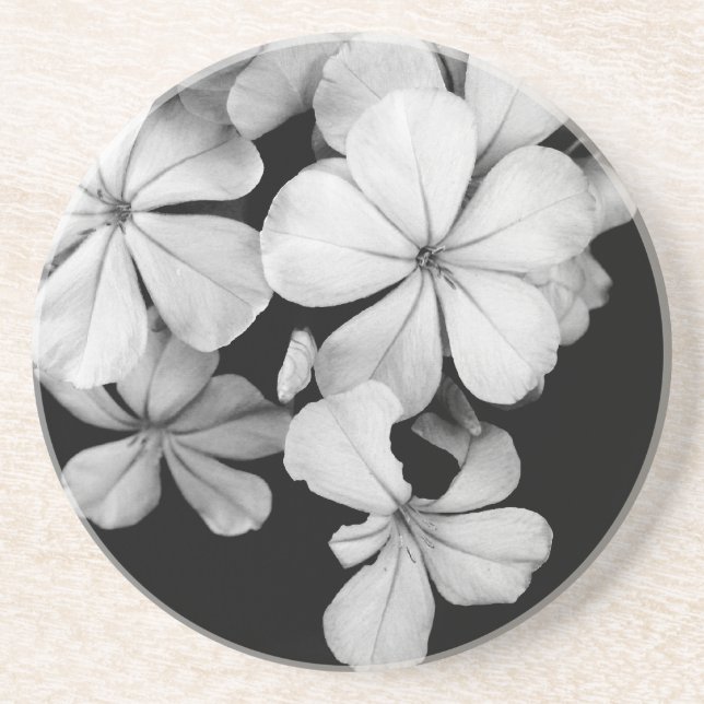 black and white Plumbago Coaster (Front)