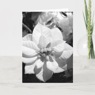 Black and White Poinsettia Christmas Card