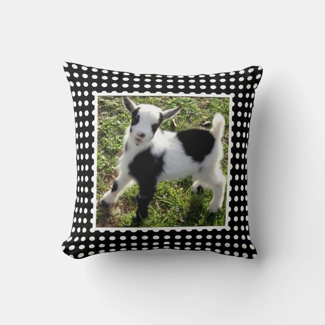 Black and White Polka Dot Nigerian Dwarf Goat Kid Cushion (Front)