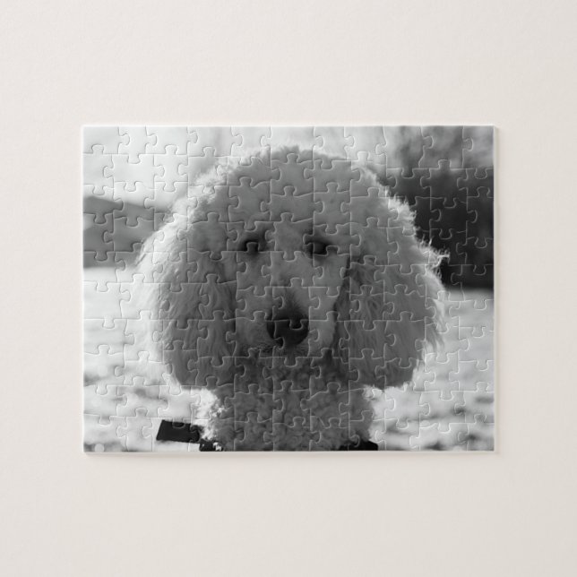 Black and White Poodle Face Puppy Eyes Jigsaw Puzzle (Horizontal)