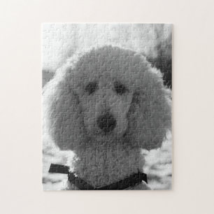 Black and White Poodle Face Puppy Eyes Jigsaw Puzzle