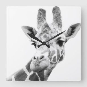 Black and white portrait of a giraffe square wall clock