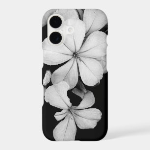 Black and White Postcard Design