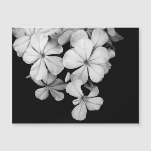 Black and White Postcard Design