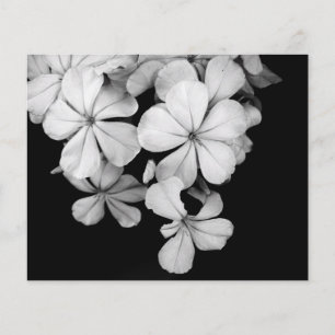 Black and White Postcard Design