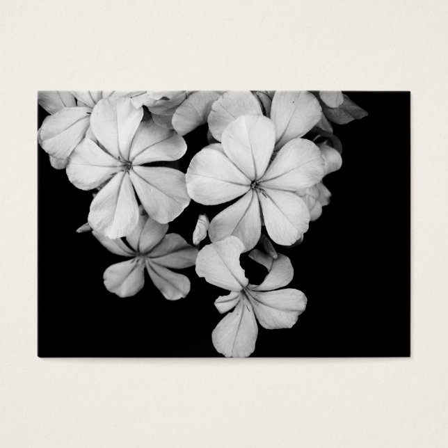 Black and White Postcard Design (Front)