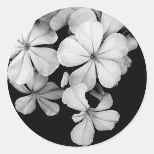 Black and White Postcard Design Classic Round Sticker