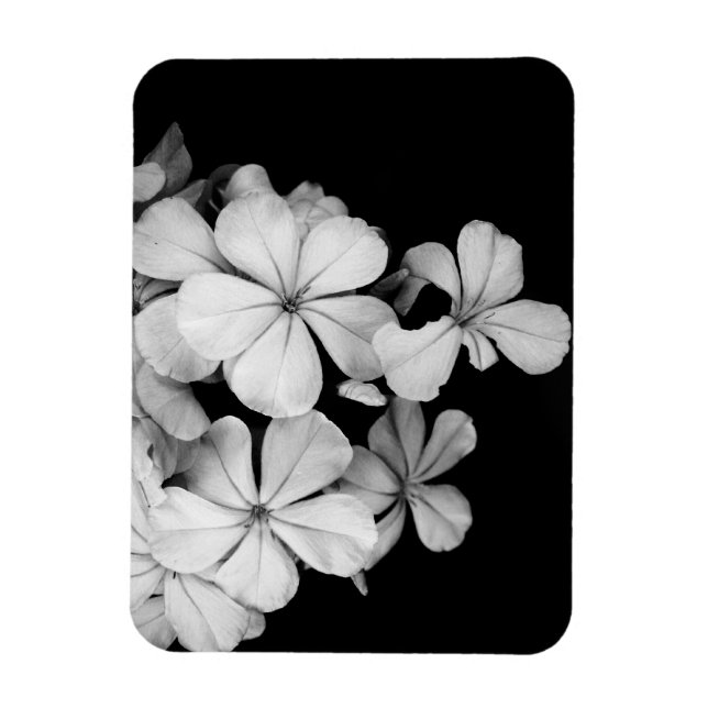 Black and White Postcard Design Magnet (Vertical)