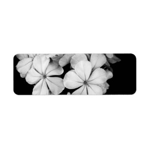 Black and White Postcard Design Return Address Label