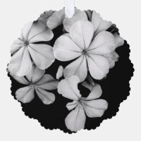 Black and White Postcard Design
