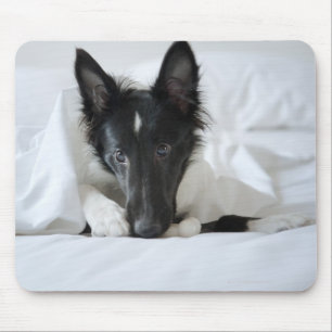 Black and white puppy in bed with bone mouse pad