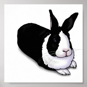 Black and White Rabbit Poster