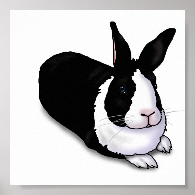 Black and White Rabbit Poster (Front)