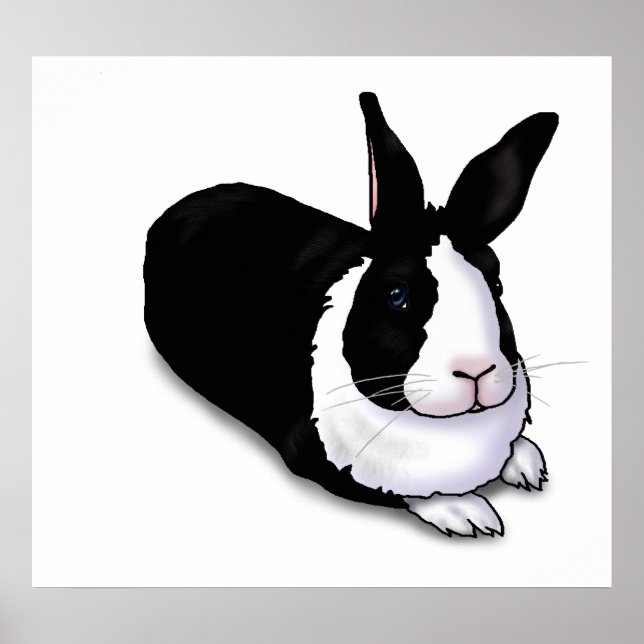 Black and White Rabbit Poster (Front)