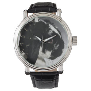 Black and white rabbit with studded collar watch