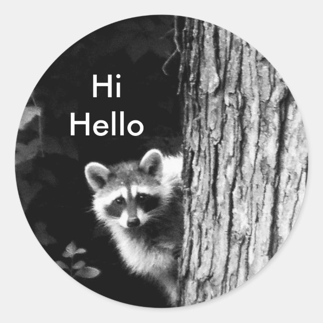 Black and White Racoon in Tree Wildlife Sticker (Front)