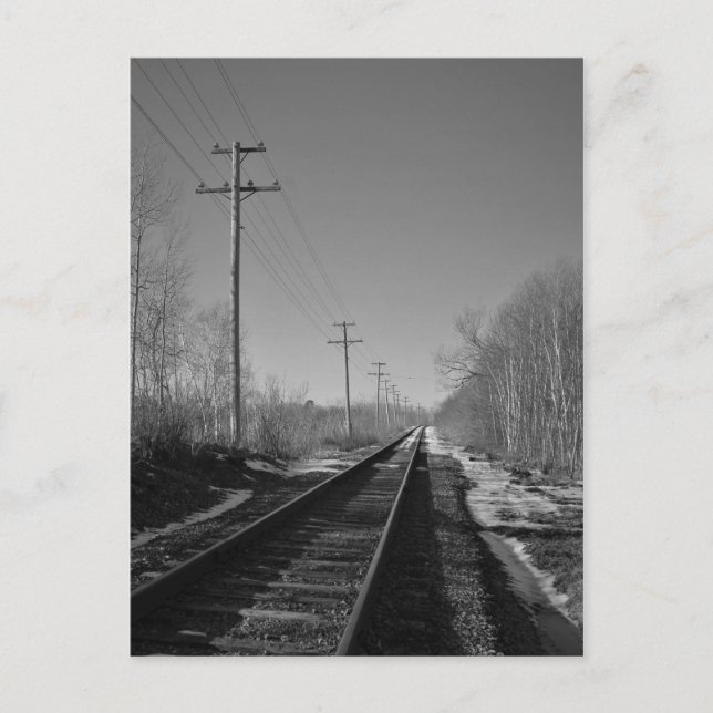 Black and White Rails Postcard (Front)