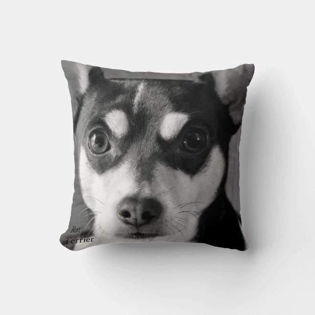 Black and White Rat Terrier Cushion (Front)