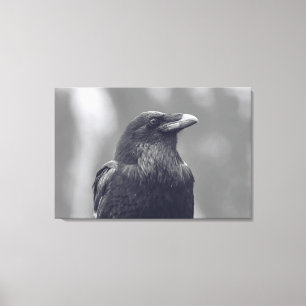 Black and White Raven Portrait Canvas Print