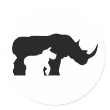 Black and White Rhino