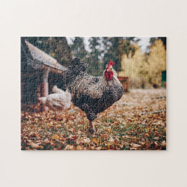 Black and White Rooster with Two Hens in Nature Jigsaw Puzzle (Horizontal)