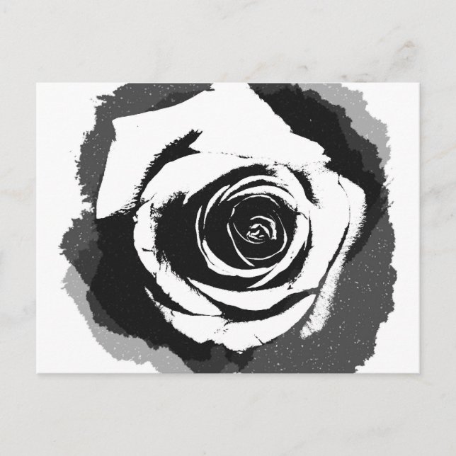 Black and white rose graphic postcard (Front)