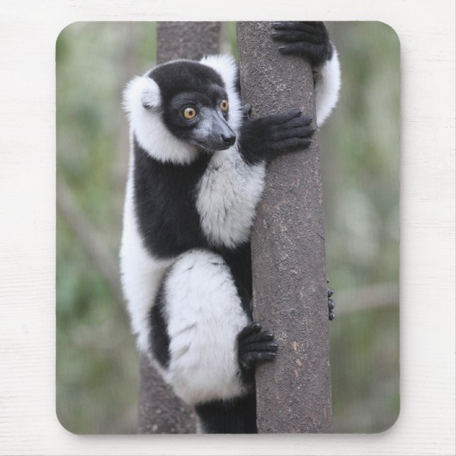 Black and White Ruffed Lemur on Tree Mouse Pad (Front)