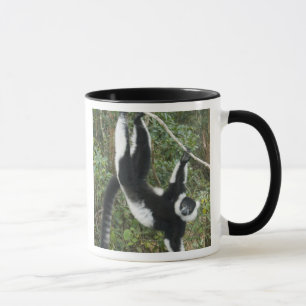 Black and White Ruffed Lemur, (Varecia Mug