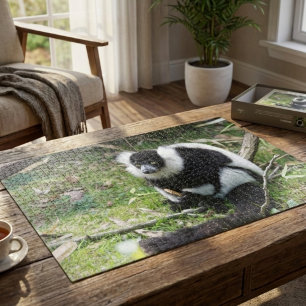 Black and White Ruffed Lemur: Wildlife Photography Jigsaw Puzzle