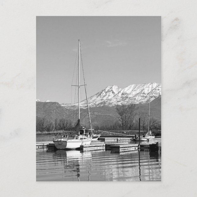 Black And White Sailboats On Lake Photograph Postcard (Front)