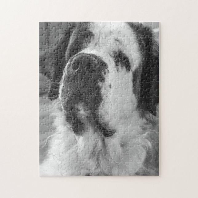 Black and white Saint Bernard dog Jigsaw Puzzle (Vertical)
