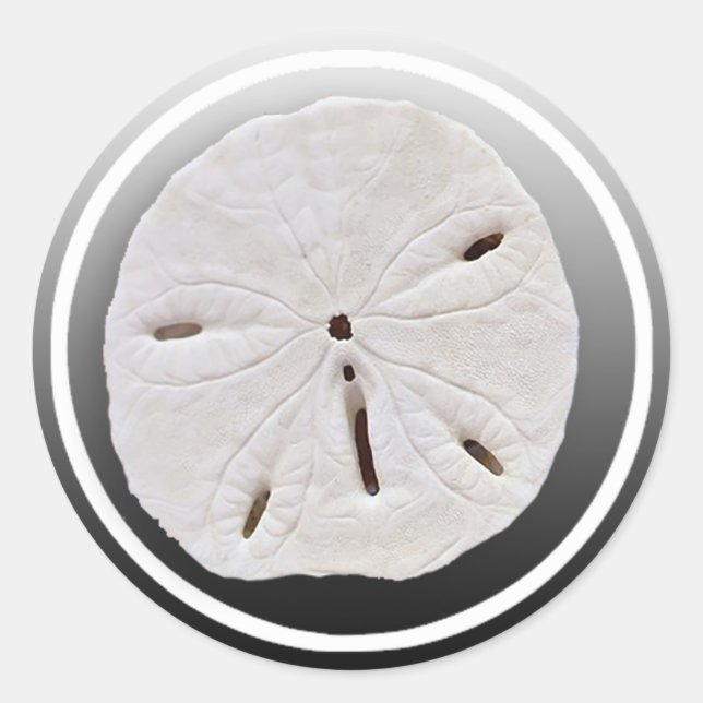 Black and White Sand dollar wedding Sticker (Front)